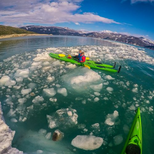 kayaking around floating ice at svartisen glacier