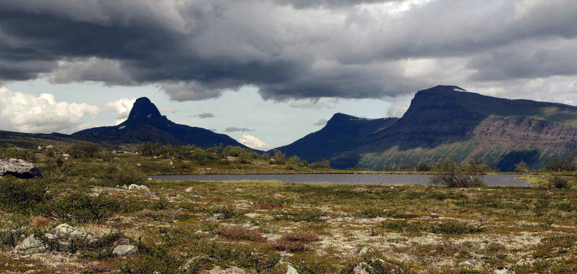 Across Norway Summer