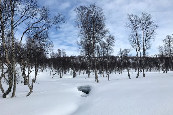 Norge på tvers