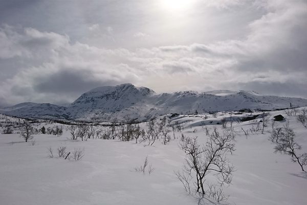 Norge på tvers