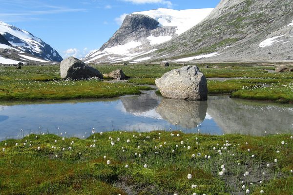 vesterdalen